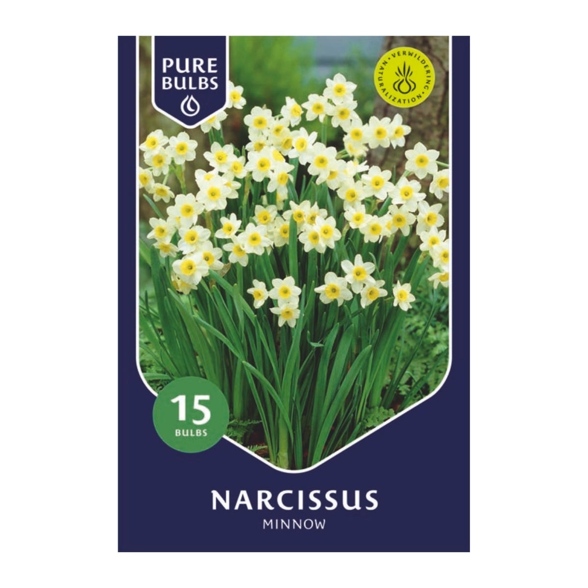 Pure Bulbs Bloembollen Narcis (Narcissus 'Minnow') 15 stuks