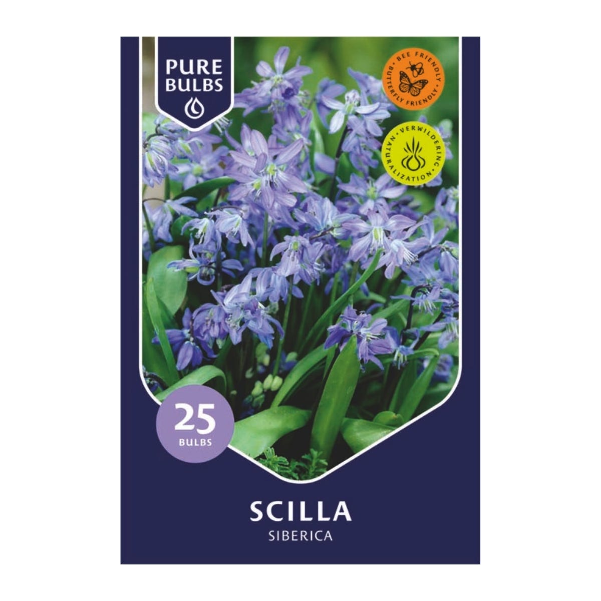 Pure Bulbs Bloembollen Sterhyacint (Scilla 'Siberica') 25 stuks