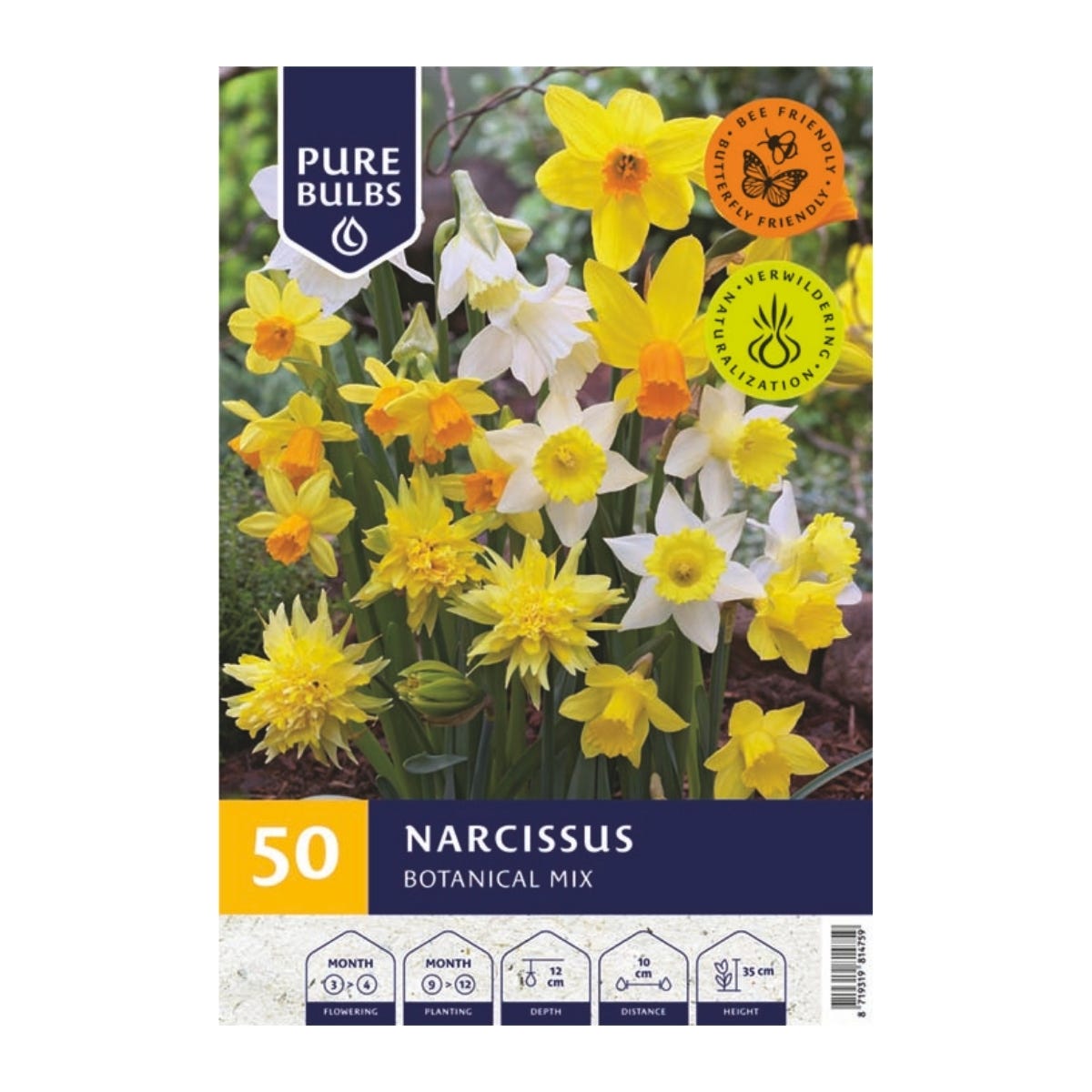Pure Bulbs Bloembollen Narcis (Narcissus 'Botanical mix') 50 stuks
