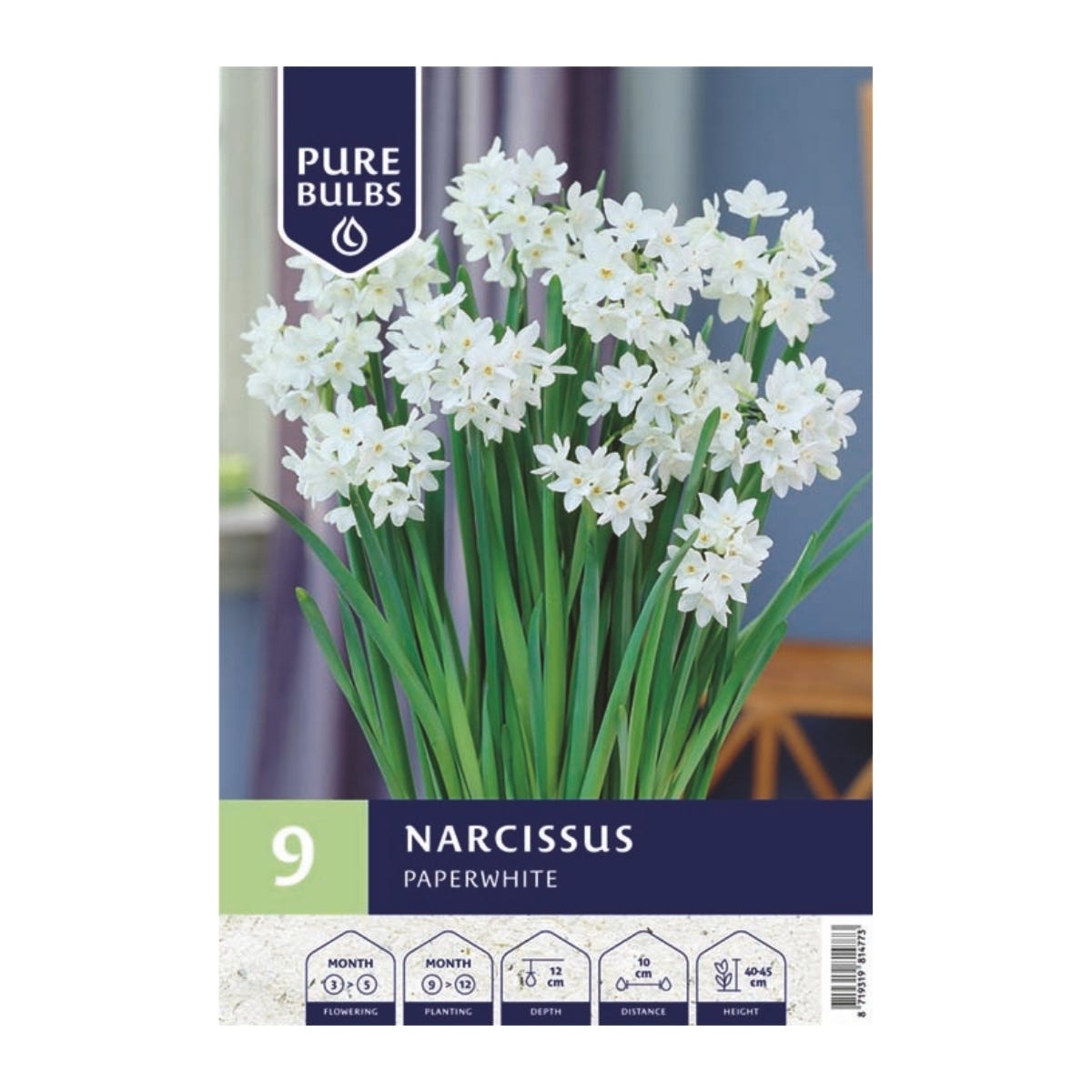 Pure Bulbs Bloembollen Narcis (Narcissus 'Paperwhite') 9 stuks