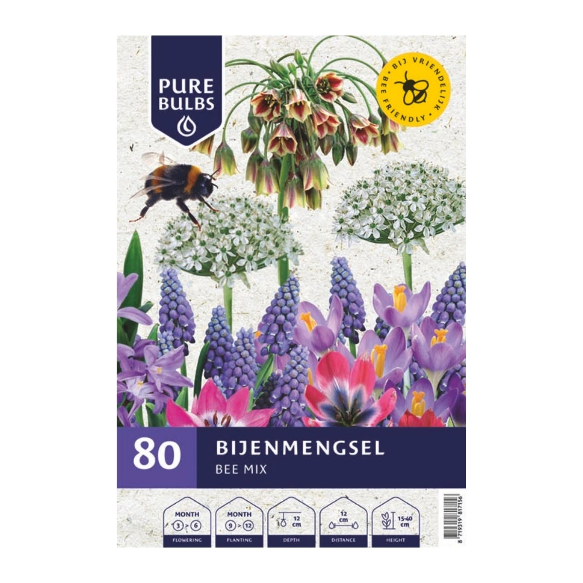 Pure Bulbs Bloembollen Bijenmengsel 80 stuks