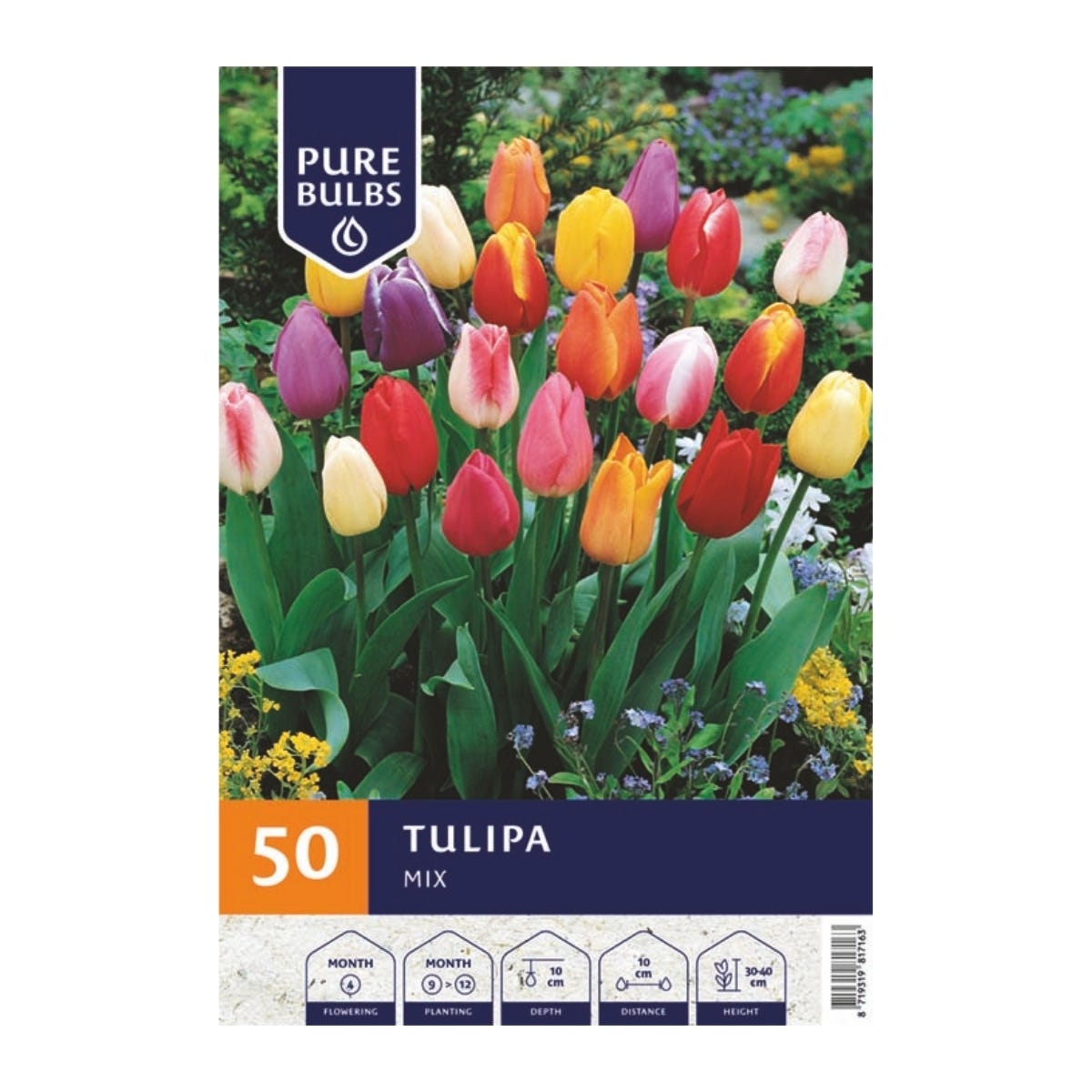 Pure Bulbs Bloembollen Tulp (Tulipa 'Mix') 50 stuks