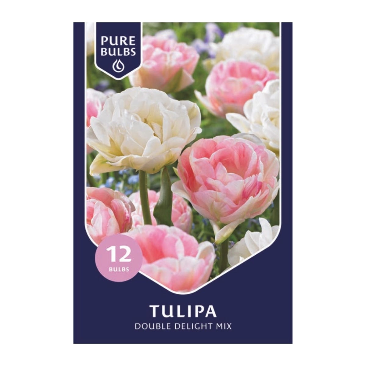 Pure Bulbs Bloembollen Tulp (Tulipa 'Double Delight Mix') 12 stuks