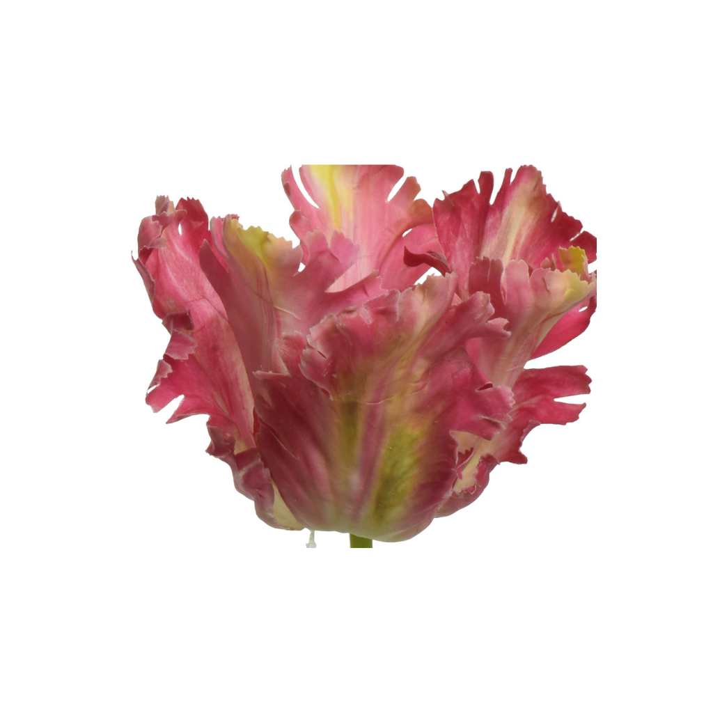 Decoris Tulp Fuchsia 68 cm