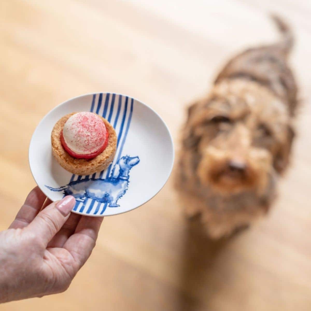 Heinen Delfts Blauw Petit four bordje Teckel Nhaan