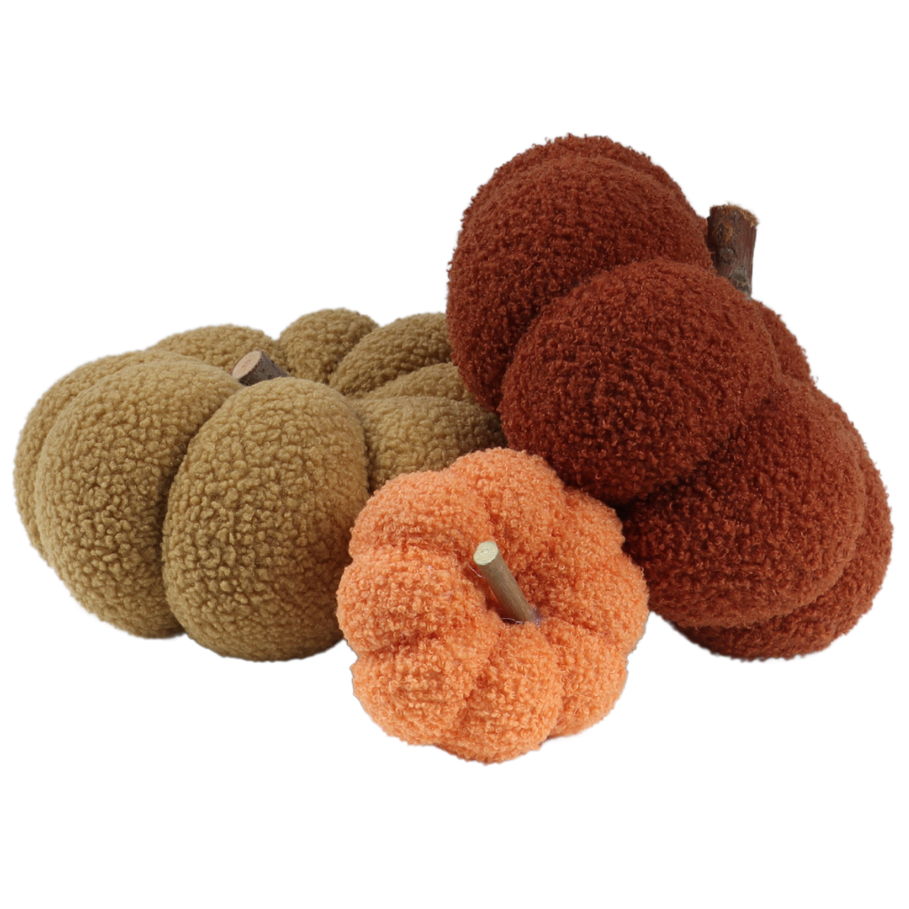 Pompoen Teddy Bruin 15 x 25