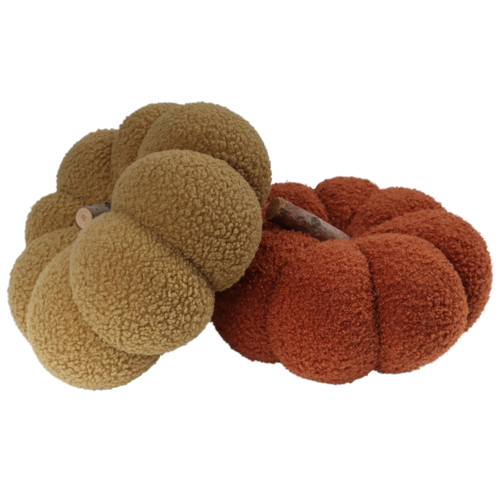 Pompoen Teddy Bruin 15 x 25