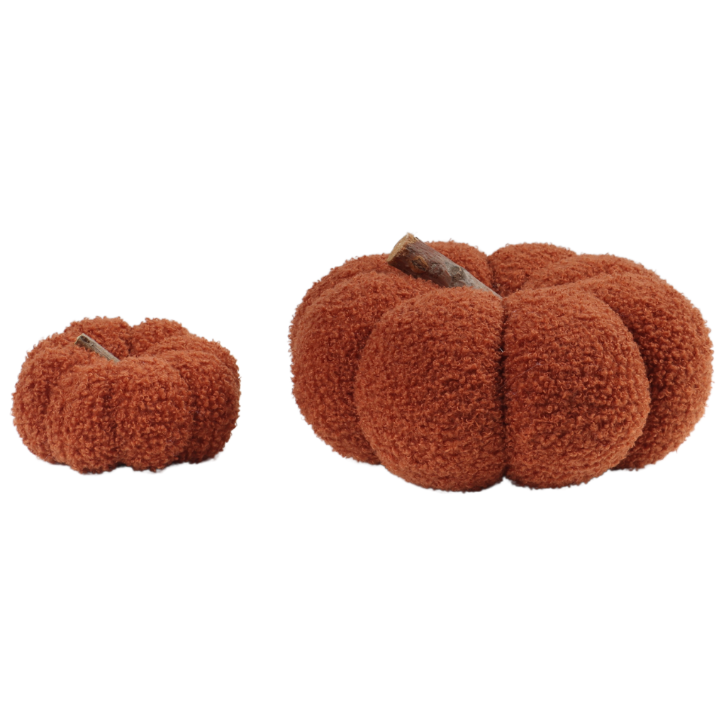 Pompoen Teddy Bruin 15 x 25