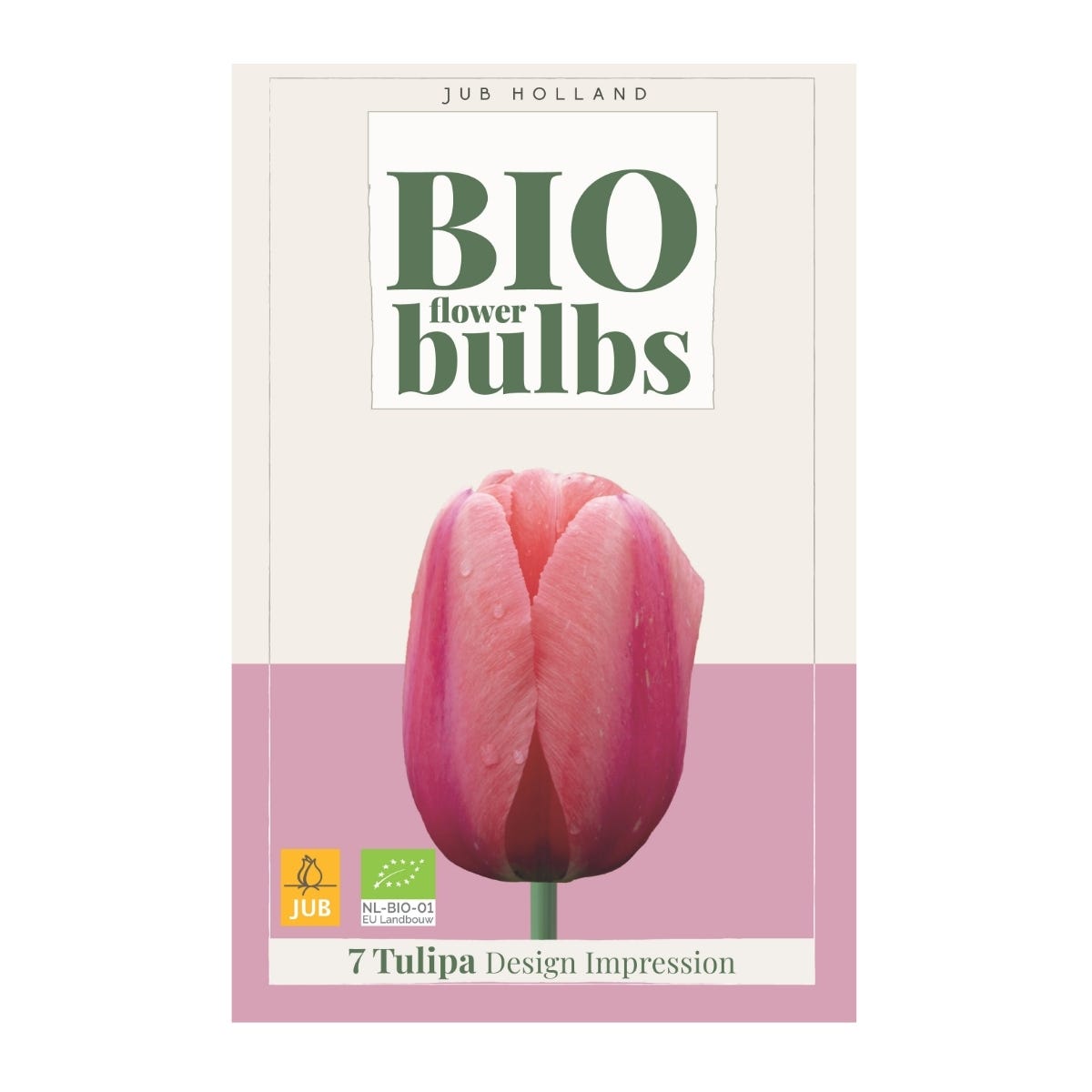 JUB Holland Bloembollen Tulp (Tulipa 'Design Impression') Biologisch 7 stuks