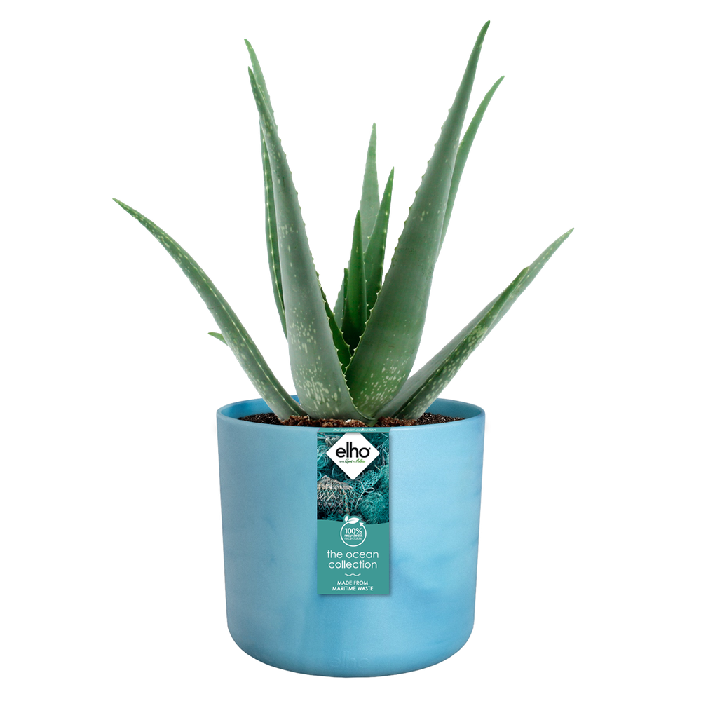 Elho The Ocean Collection Round 18cm Atlantisch Blauw
