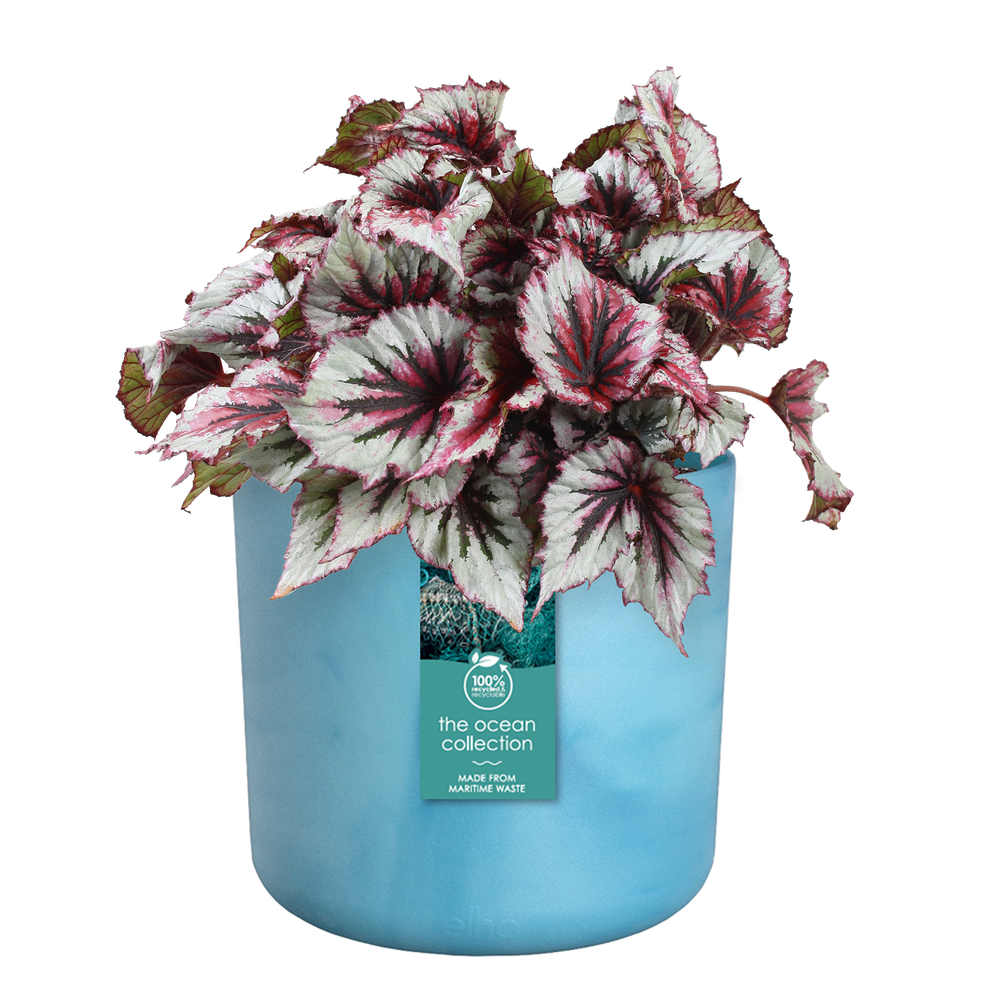 Elho The Ocean Collection Round 14cm Atlantisch Blauw