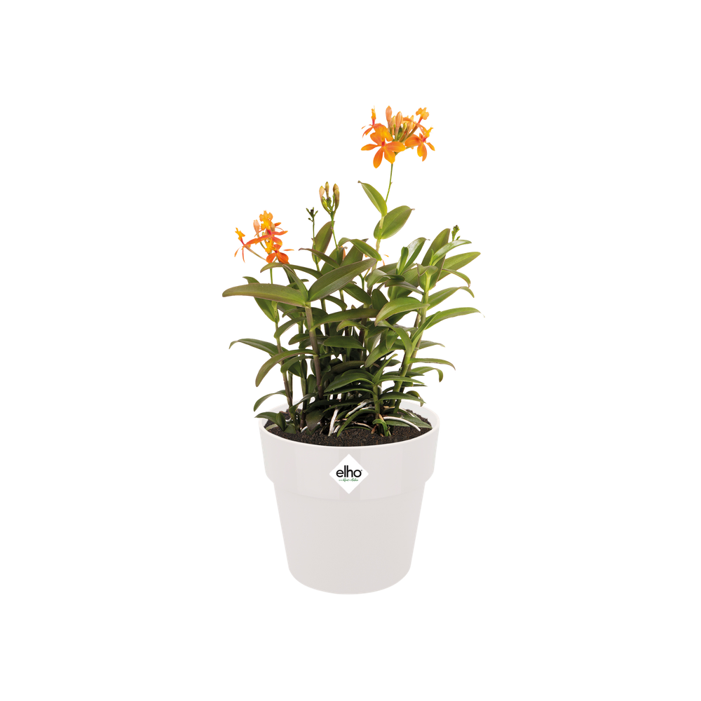 Elho B.For Original Rond 22cm Wit