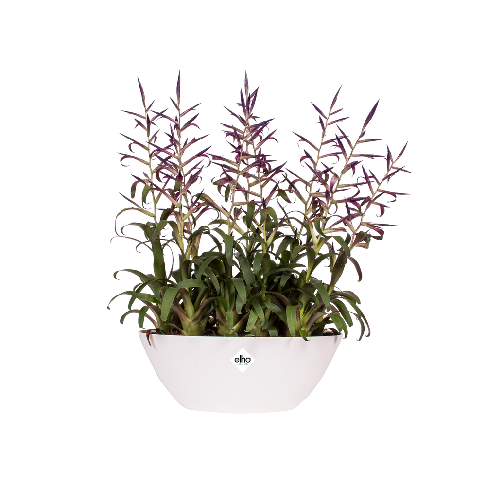 Elho Brussels Ovaal 36cm Wit