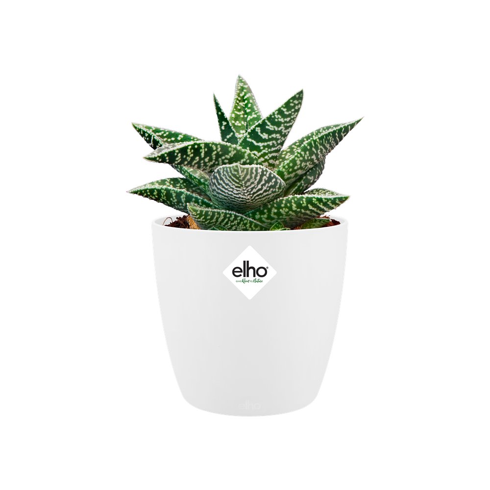 Elho Brussels Rond Mini 10,5cm Wit