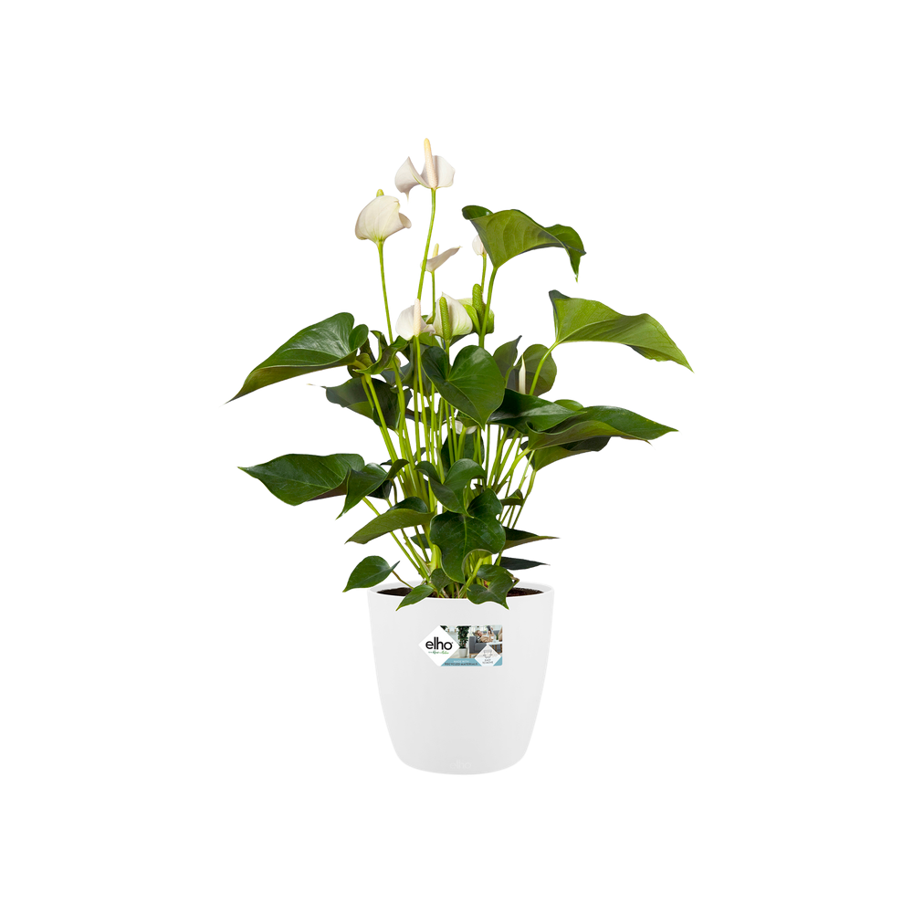 Elho Brussels Rond Wielen 47cm Wit