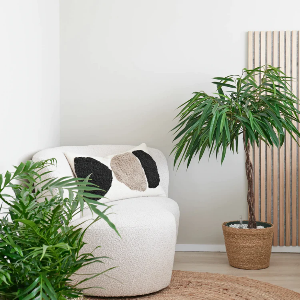 Ficus Alii (Ficus Mahori) 120 x 27 cm