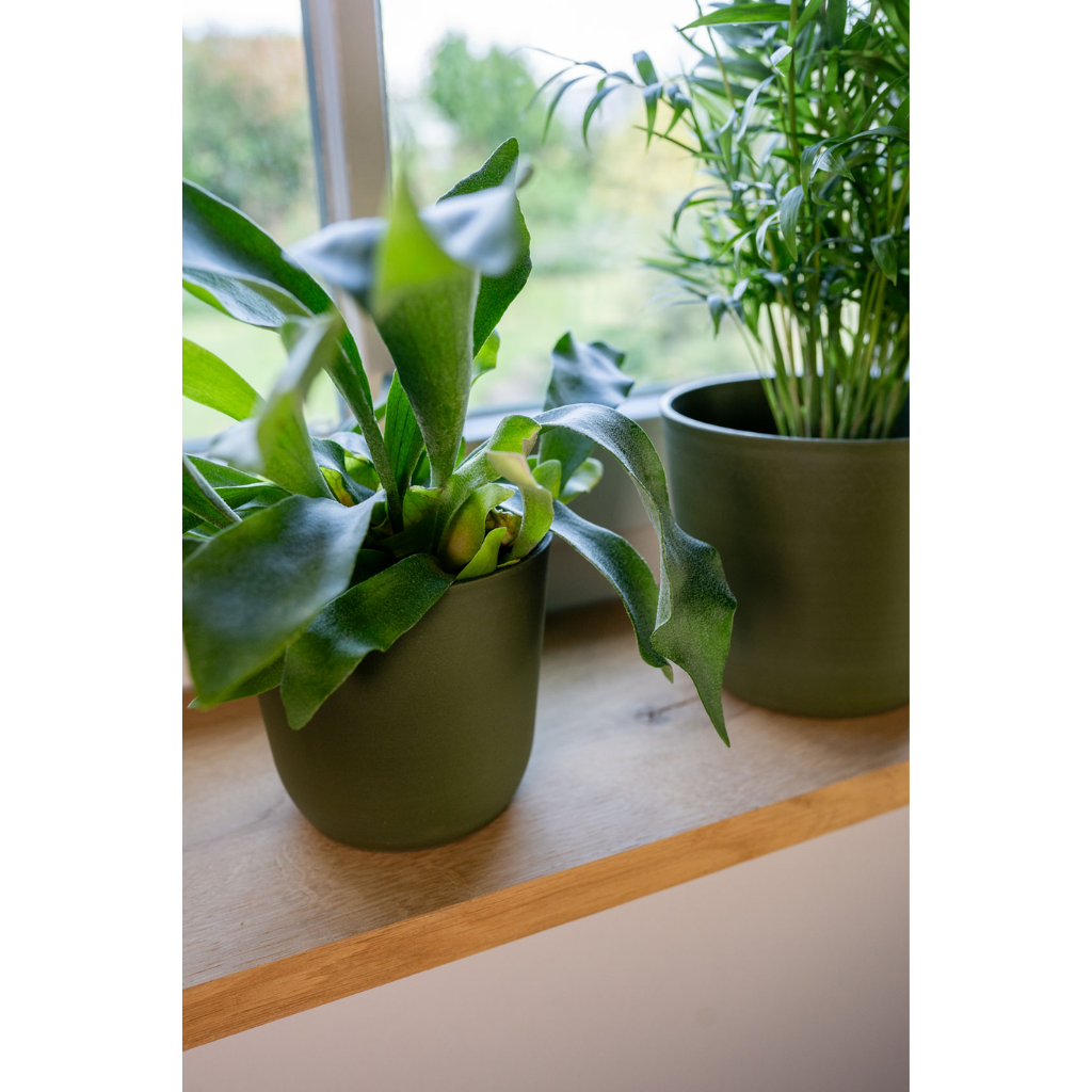 TS Collection Pot Palermo Groen 12 x 13 cm