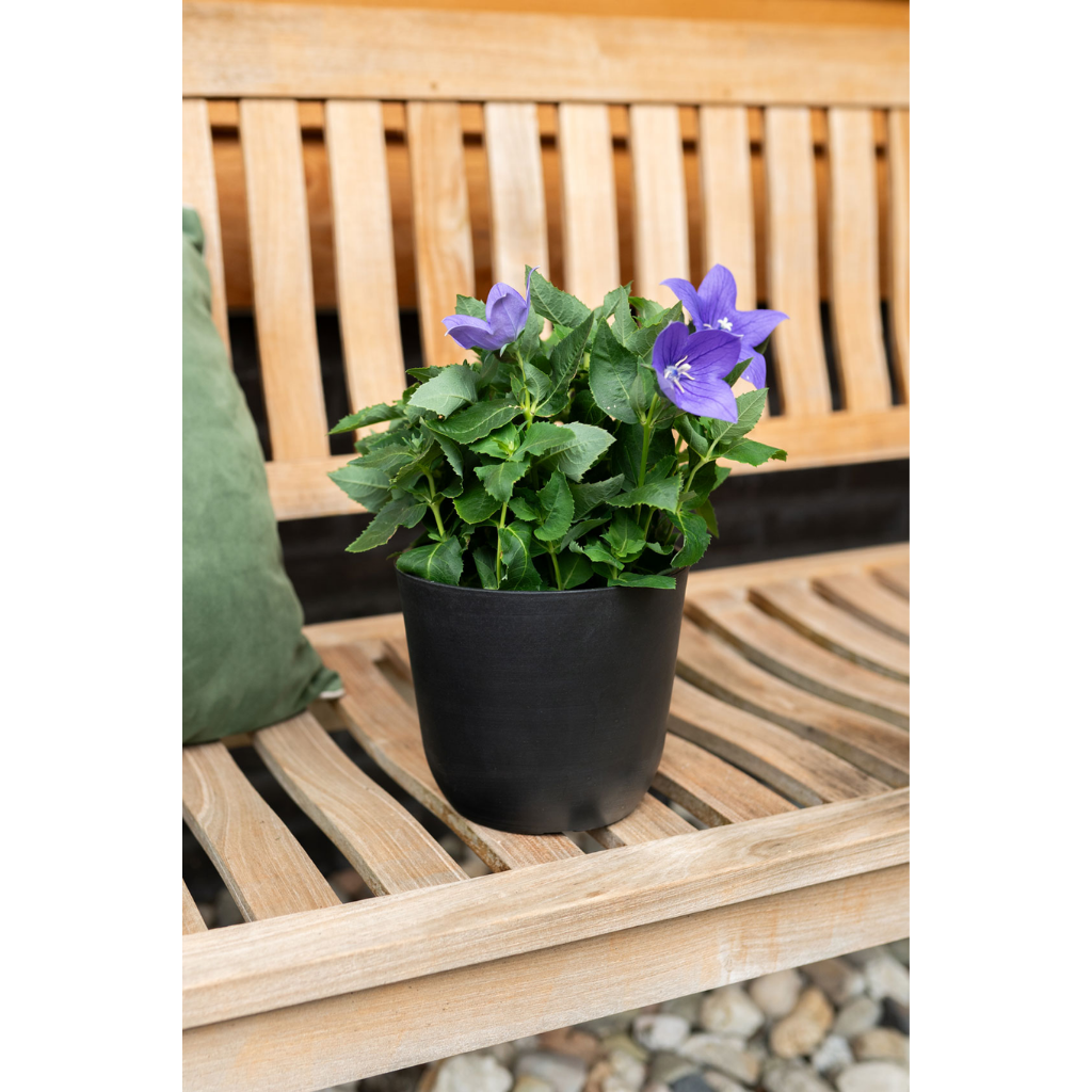 TS Collection Pot Palermo Zwart 12 x 13 cm