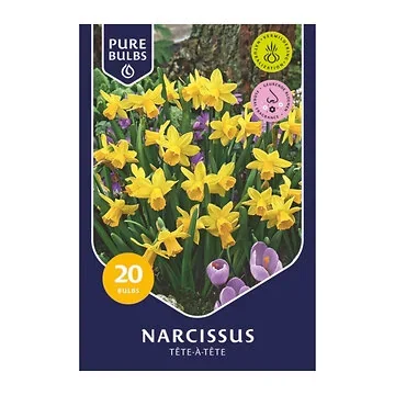 Pure Bulbs Bloembollen Narcis (Narcissus 'Tête-à-Tête') 20 stuks