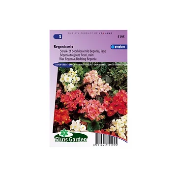 Begonia semperflorens Dwarf Mix