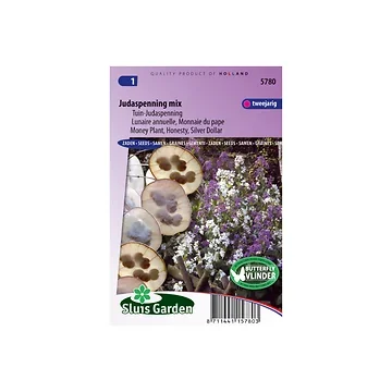 Lunaria biennis annua Choice Mixed