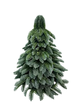 Nobilis tree deluxe 50 x 50 cm