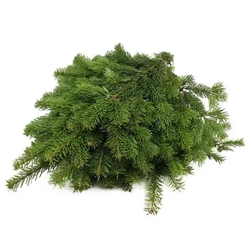 Nordmann Handbos Kerstgroen