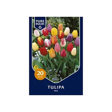 Pure Bulbs Tulipa Mix 15 bollen
