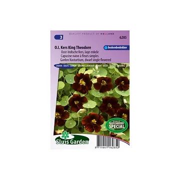 Tropaeolum m.n. King Theodore
