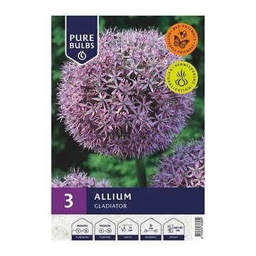 Pure Bulbs Bloembollen Sierui (Allium 'Gladiator') 3 stuks