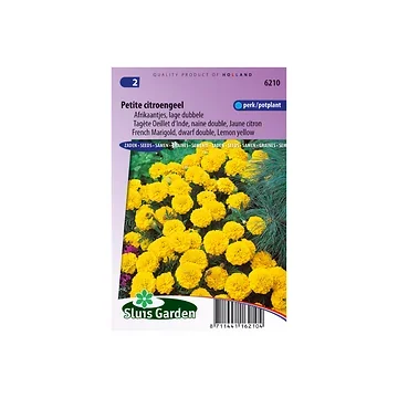 Tagetes patula nana Petite Yellow