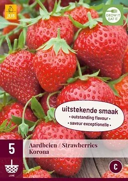 Fragaria Korona