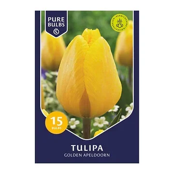 Pure Bulbs Bloembollen Tulp (Tulipa 'Golden Apeldoorn') 15 stuks