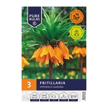 Pure Bulbs Bloembollen Kivietsbloem (Fritillaria 'Imperalis Aurora') 3 stuks