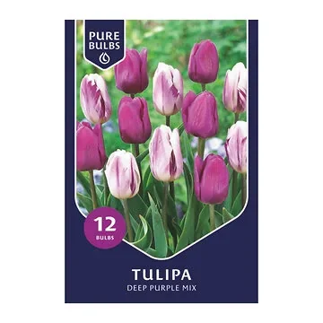 Pure Bulbs Bloembollen Tulp (Tulipa 'Deep Purple Mix') 12 stuks