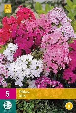 Phlox Mix