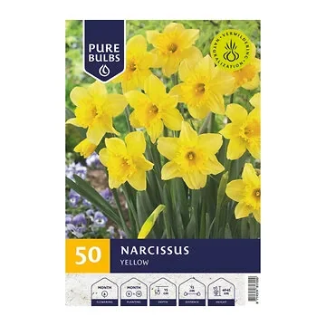 Pure Bulbs Bloembollen Narcis (Narcissus 'Yellow') 50 stuks