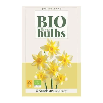 JUB Holland Bloembollen Narcis (Narcissus 'New Baby') Biologisch 5 stuks