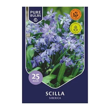 Pure Bulbs Bloembollen Sterhyacint (Scilla 'Siberica') 25 stuks