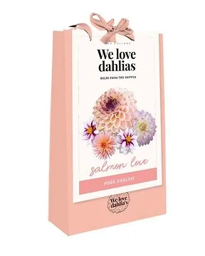 Tas 'We Love Dahlias' Salmon Love