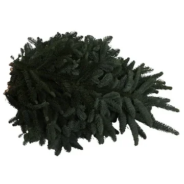 Nobilis pak