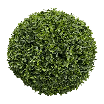 De Bosrand Buxusbol Groen 30 cm