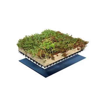 Sempergreen Place ’n go® Sedumtray