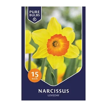 Pure Bulbs Bloembollen Narcis (Narcissus 'Loveday') 15 stuks