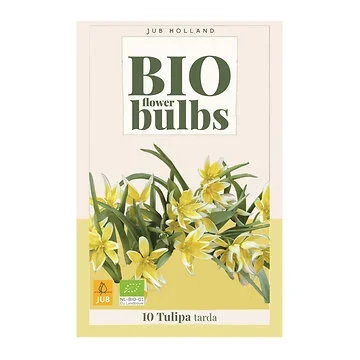 JUB Holland Bloembollen Tulp (Tulipa 'Tarda Dasystemon') Biologisch 10 stuks