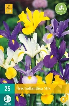 Iris Hollandica Mix