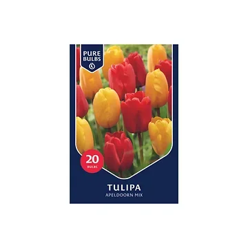 Pure Bulbs Tulipa Apeldoorn Mix 12 bollen