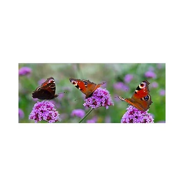 Tuinposter Vlinders 110 x 45 cm