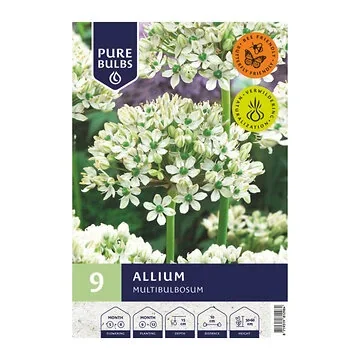 Pure Bulbs Bloembollen Sierui (Allium 'Multibulbosum') 9 stuks