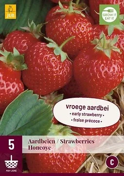 Fragaria Honeoye